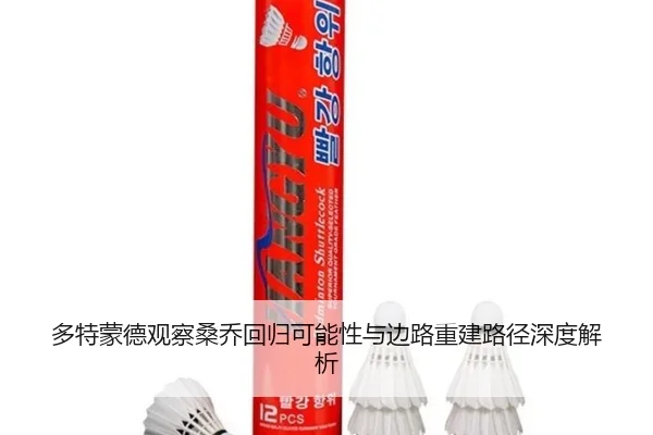 多特蒙德观察桑乔回归可能性与边路重建路径深度解析